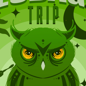 Fülesbagoly Alapítvány